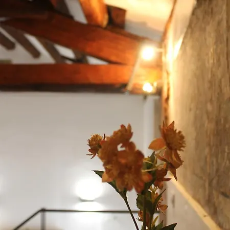 Speciale Apartment *