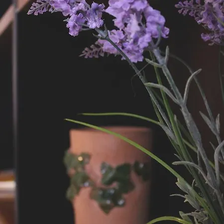 Appartamento Speciale Palermo